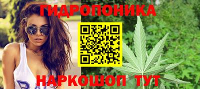 герыч Новодвинск