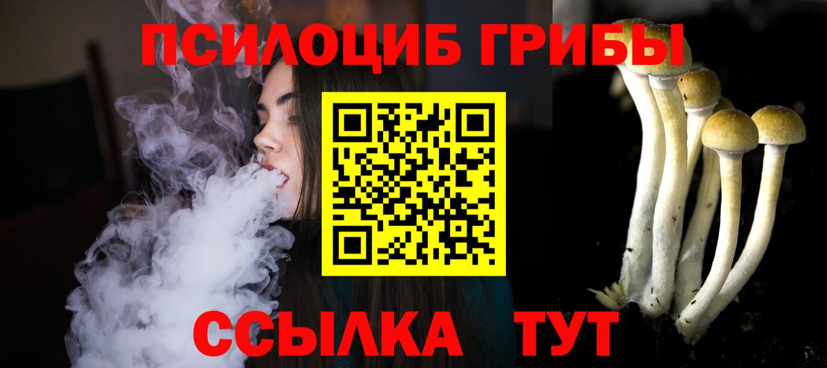 Галлюциногенные грибы Psilocybe Ногинск