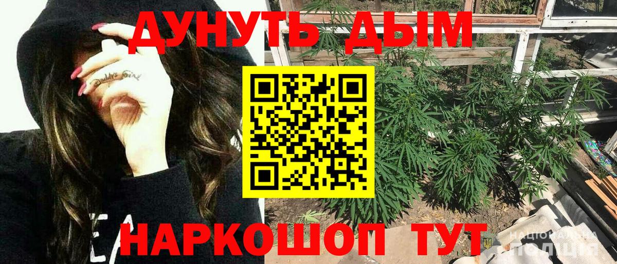 Каннабис White Widow Ногинск